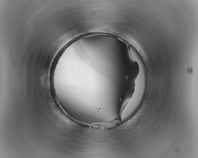 X0000090760884200708172045