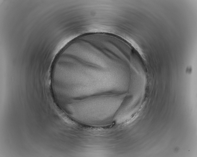 X0000090760885200708172045