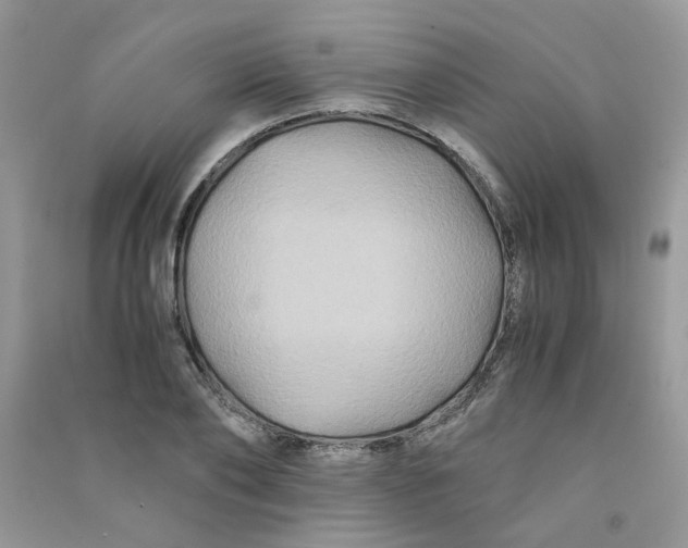 X0000090760886200708172045