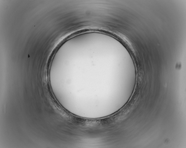 X0000090760887200708172045