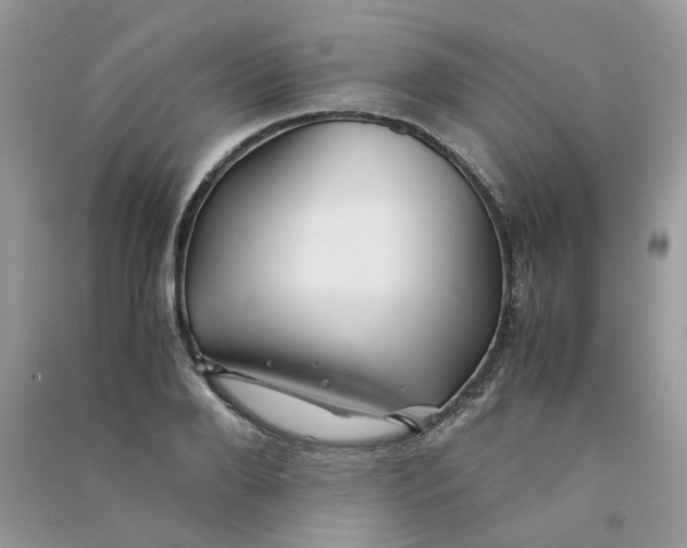 X0000090760888200708172045