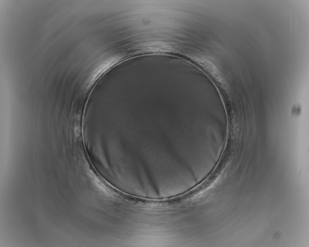 X0000090760889200708172045