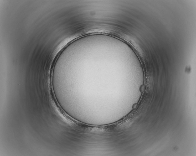 X0000090760890200708172045