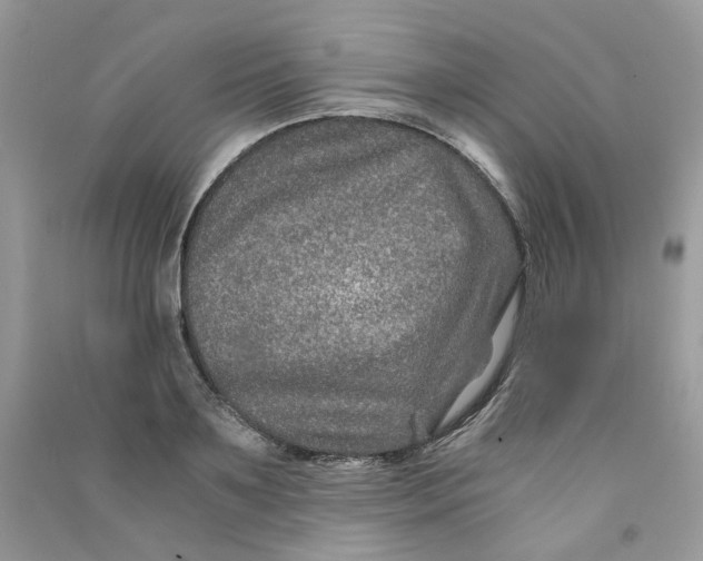 X0000090760891200708172045