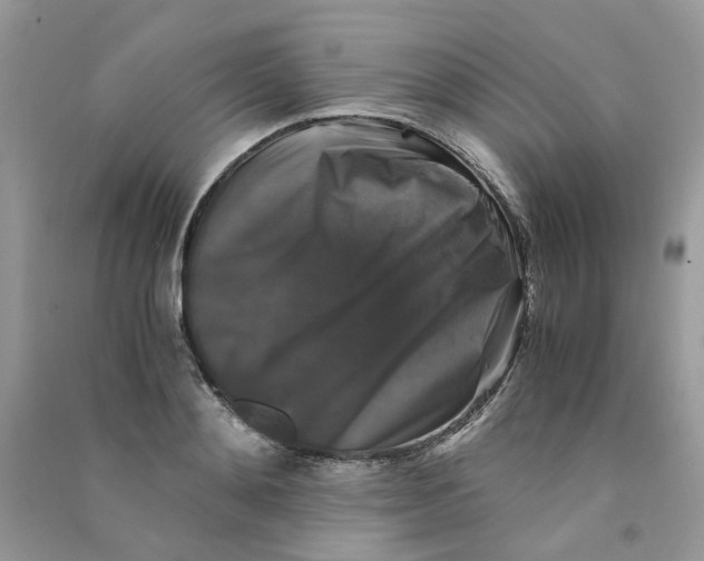 X0000090760892200708172045