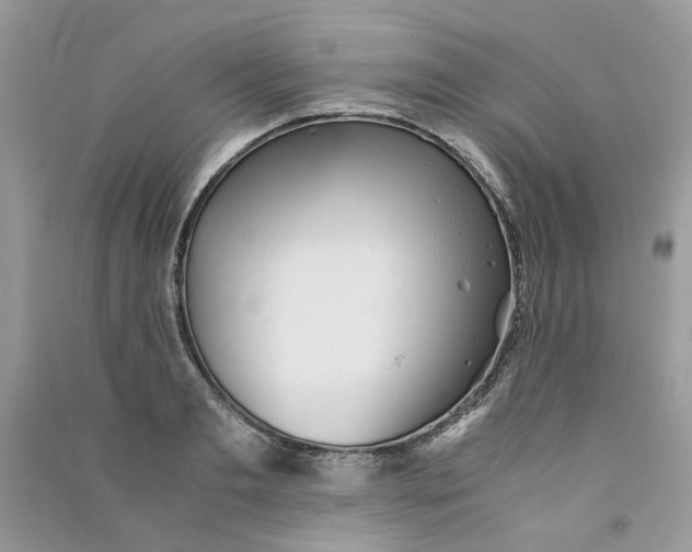 X0000090760893200708172045