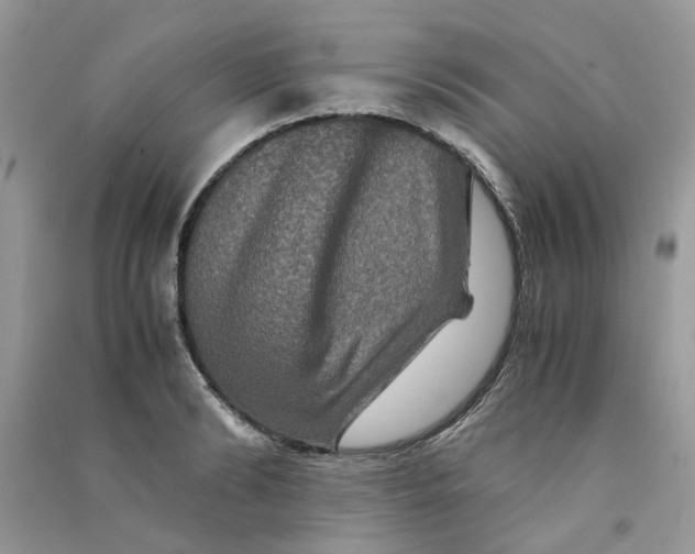 X0000090760894200708172045