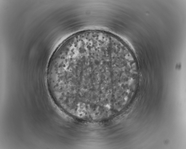 X0000090760895200708172045