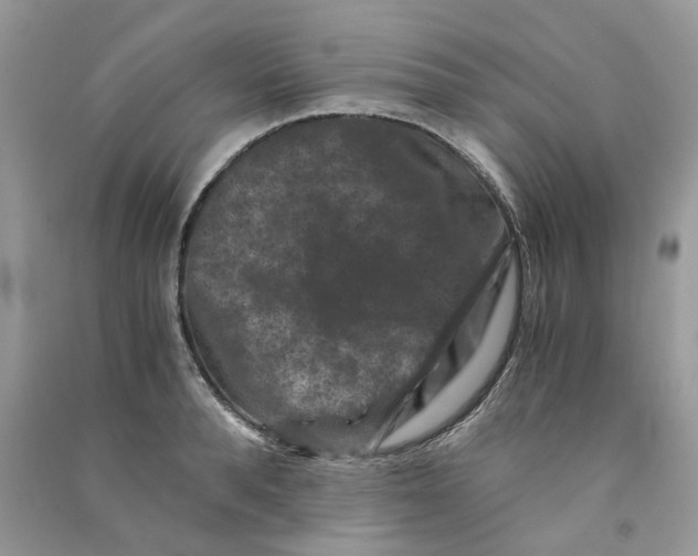 X0000090760896200708172045