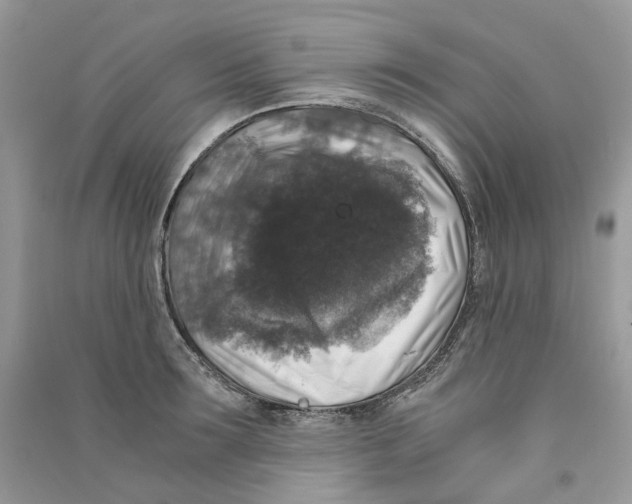 X0000090760899200708172045