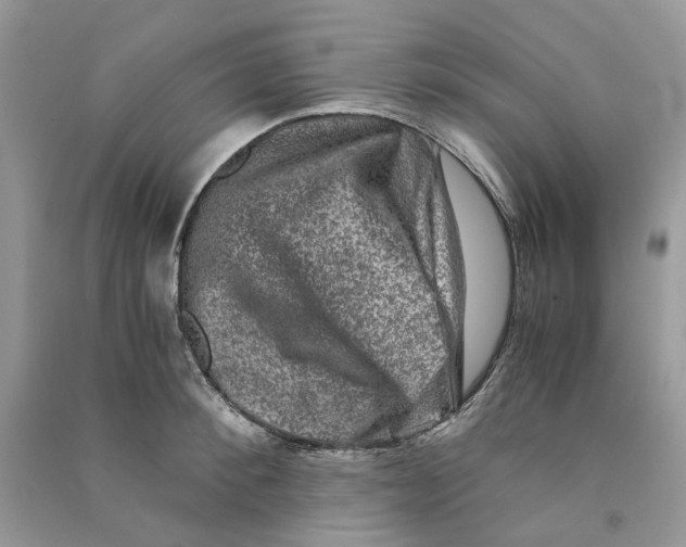 X0000090760900200708172045