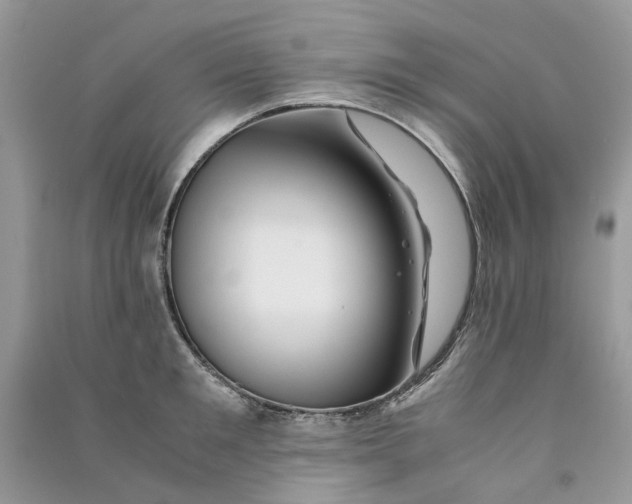 X0000090760901200708172045