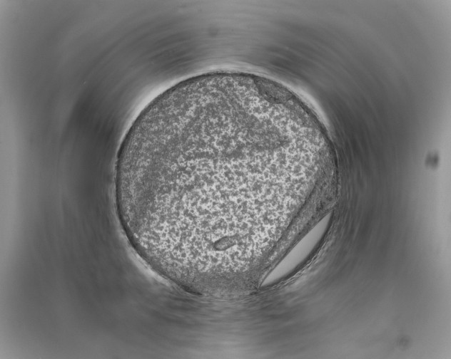 X0000090760903200708172045