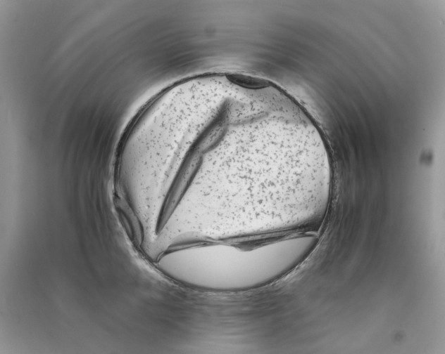 X0000090760904200708172045