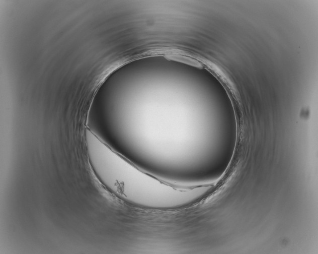 X0000090760905200708172045