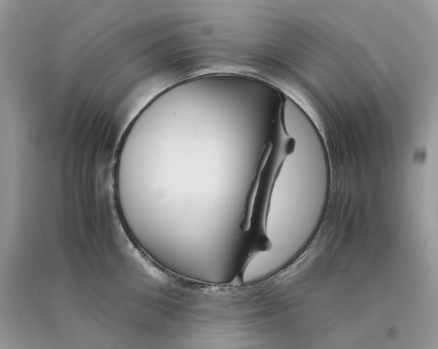 X0000090760906200708172045