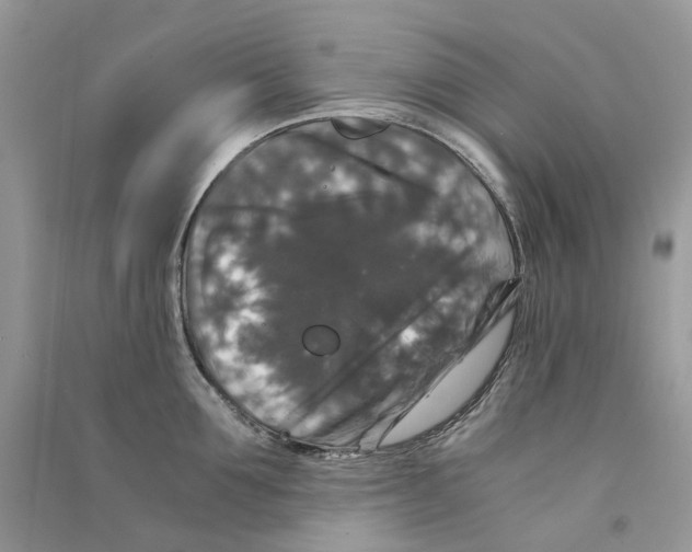 X0000090760907200708172045