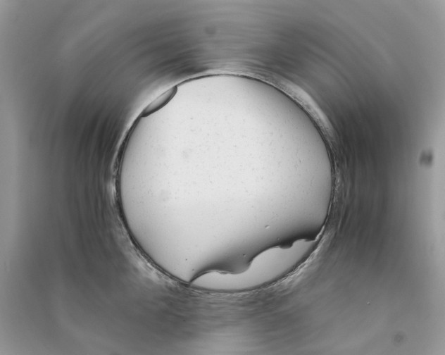 X0000090760908200708172045