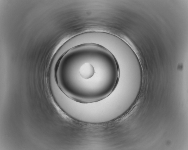 X0000090760909200708172045