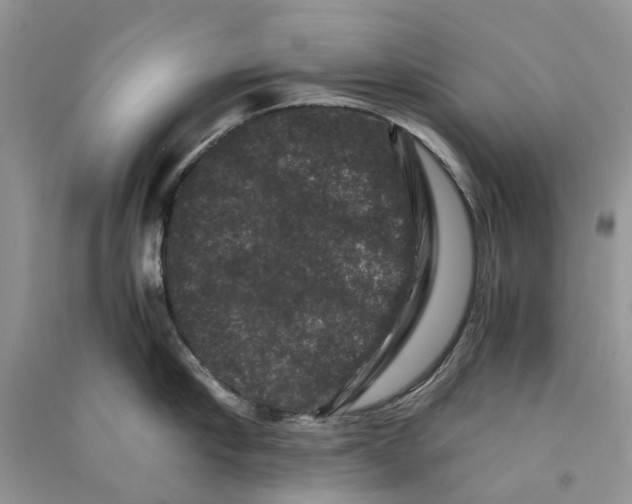 X0000090760910200708172045