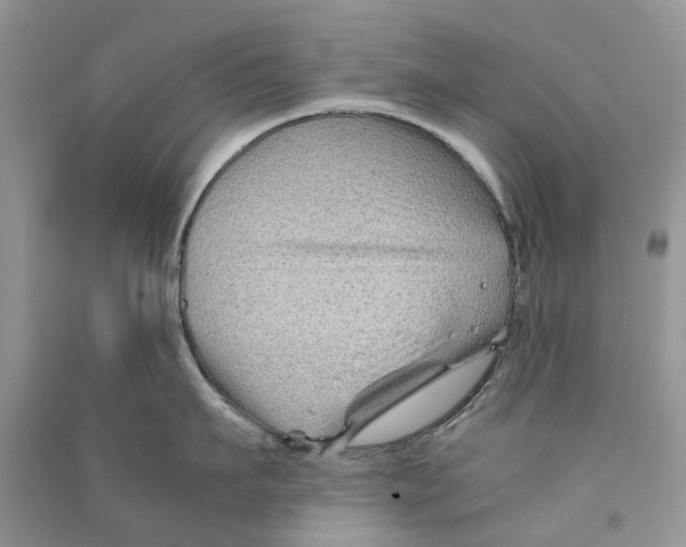 X0000090760911200708172045