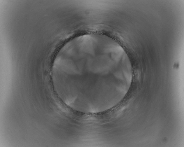 X0000090760913200708172044