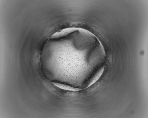 X0000090760914200708172045