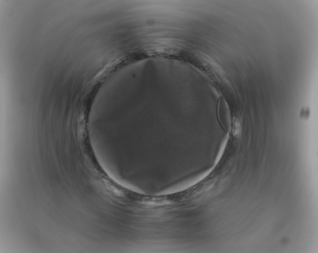 X0000090760915200708172045