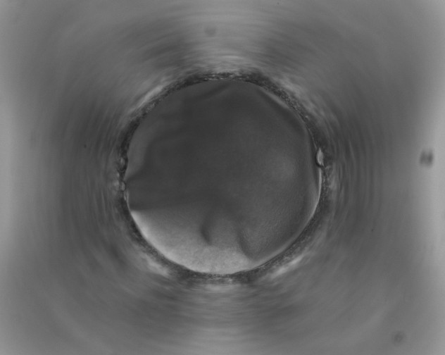 X0000090760916200708172045