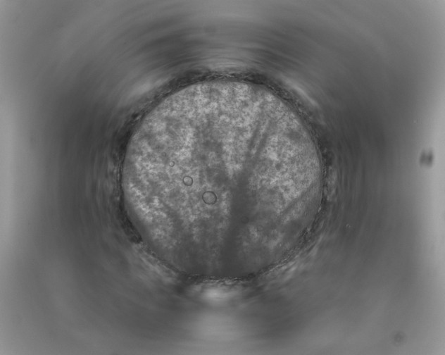 X0000090760917200708172045