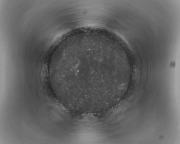 X0000090760918200708172045