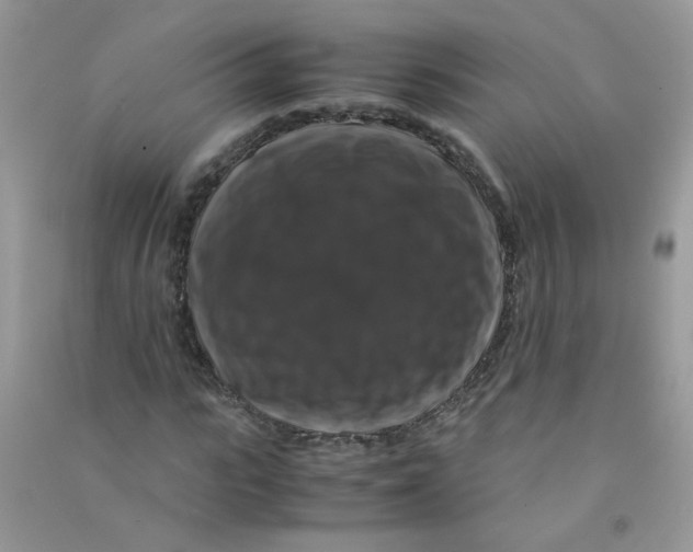 X0000090760919200708172045