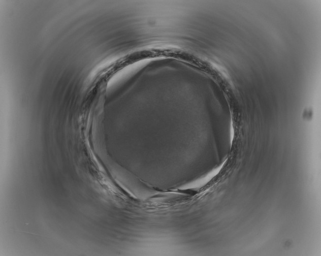 X0000090760920200708172045