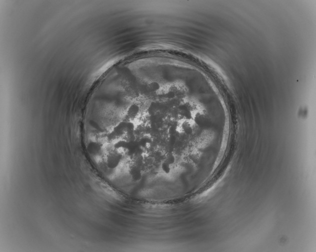 X0000090760921200708172045