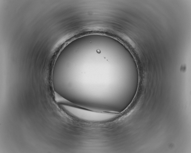 X0000090760922200708172045