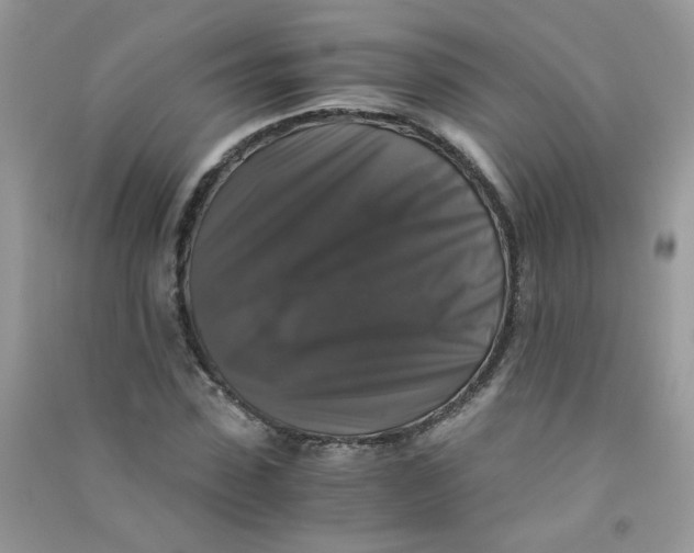 X0000090760923200708172045