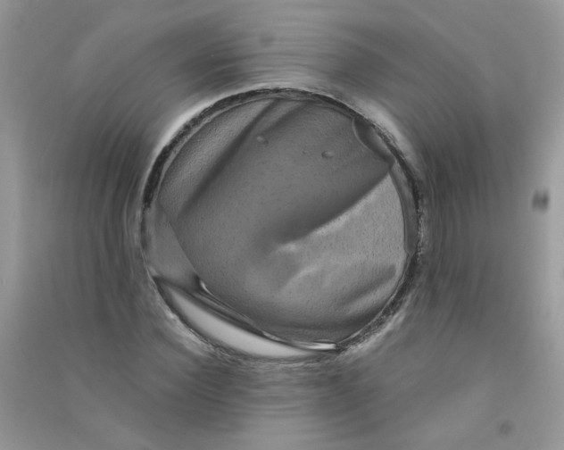 X0000090760924200708172045