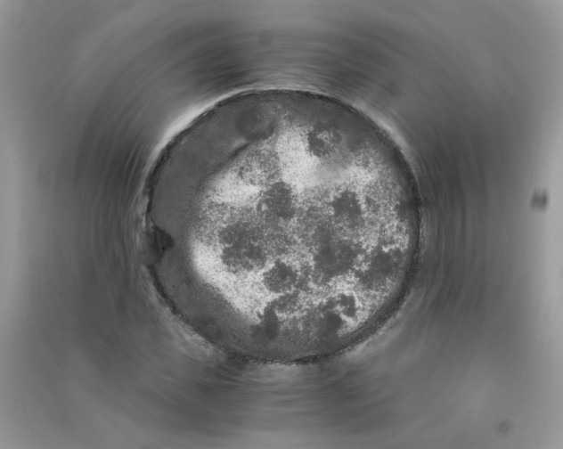 X0000090760925200708172045