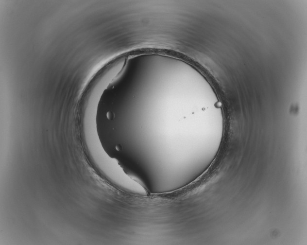 X0000090760926200708172045