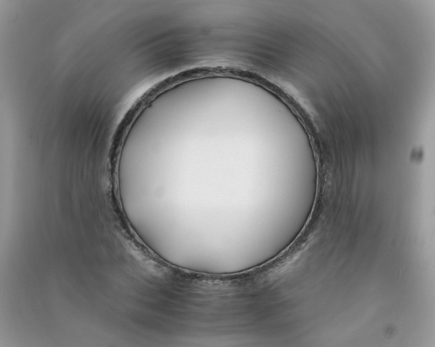 X0000090760927200708172045