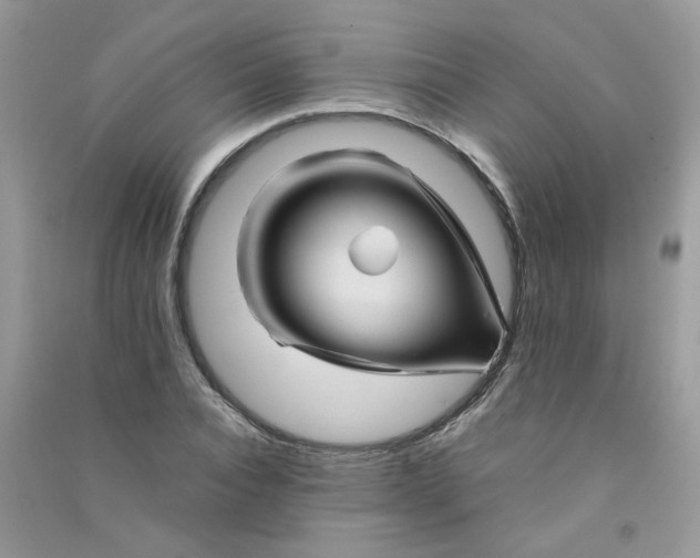 X0000090760928200708172045