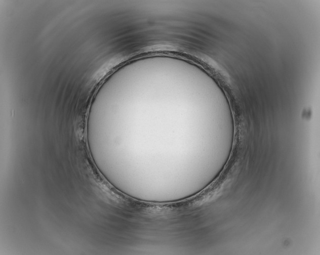 X0000090760929200708172045