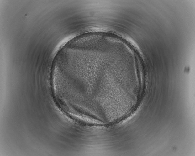 X0000090760930200708172045