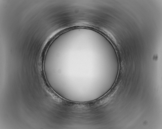 X0000090760931200708172045