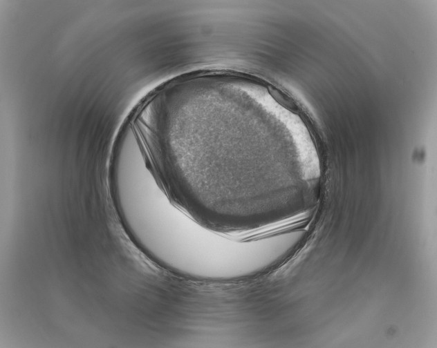 X0000090760932200708172045