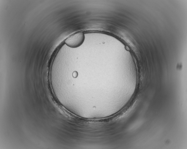 X0000090760933200708172045