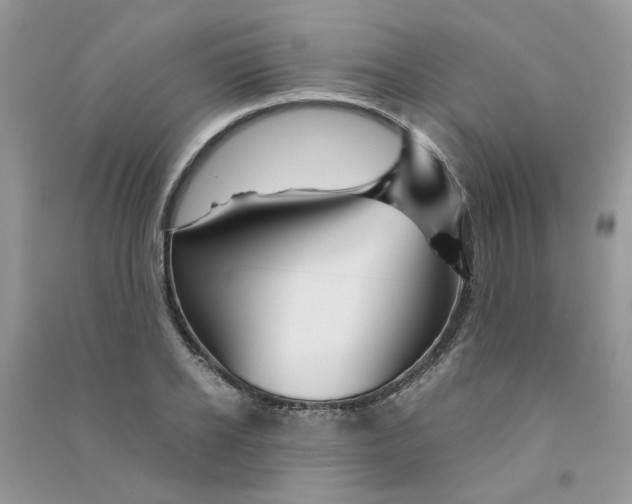 X0000090760934200708172045