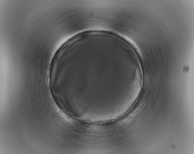 X0000090760935200708172045