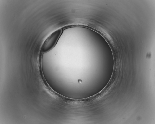 X0000090760936200708172045