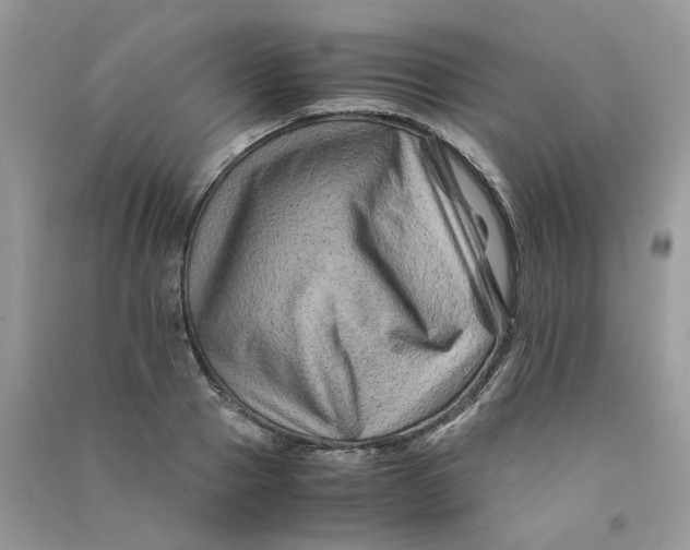 X0000090760937200708172045